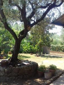 Loft con giardino in zona Appia Antica