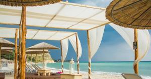 Summer Paradise Halkidiki Greece