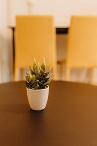 Best House, Nirvana II, Patra