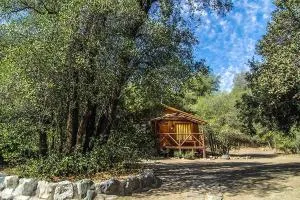 Cabañas Parque Almendro - 圣阿方索