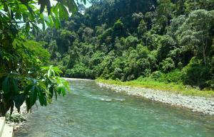 The Hangout@ EcoTravel