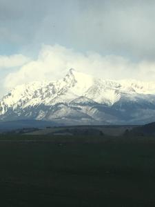 Guest House Privat Pod Lesom