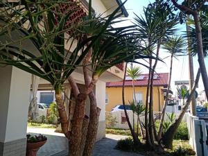 Florinda B&B Viareggio