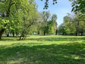 Apartman Kod Kestena