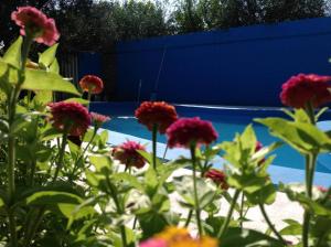 Cabañas Calderón I