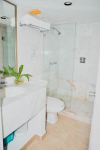 ENNA INN IXTAPA DEPARTAMENTOS ViSTA AL MAR