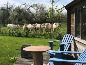 Maisons de vacances GITE 