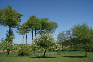 Maisons de vacances Gites Normands de charme les chataigniers : Studio (2 Adultes)