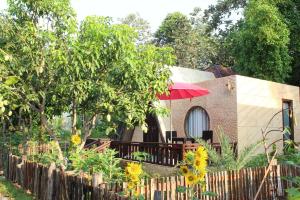 Bong Thom Forest Lodge