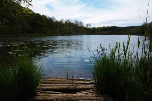 Maisons de vacances Numero 9 : photos des chambres