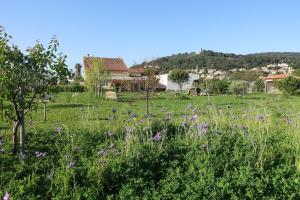 B&B / Chambres d'hotes Gite du Pagoulin - Chambres d'hotes : photos des chambres