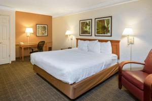 Standard Room with One King Bed room in La Quinta Inn by Wyndham San Antonio Market Square