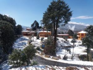 Royal Barsey - Okhrey