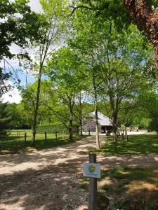 Pisseloup - 贝布尔河畔圣普桑