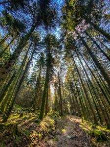 Appart'hotels Appart'Hotel LIDO au bord de l'eau : photos des chambres