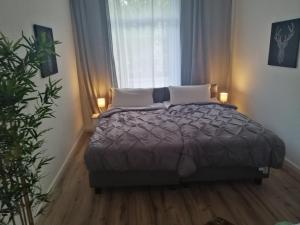 Kölsche Wohnung 2C