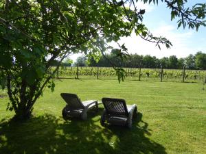 Maisons de vacances La Vigneraie de Laura: Gite Entre Vignes et Chenes : photos des chambres