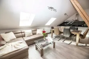 VIP suite hotel Heinz - Županovice