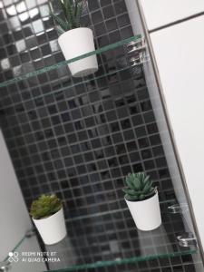 Apartamenty Katarina