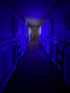 izZzleep WTC Mexico (world trade center Mexico)