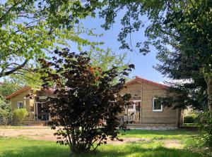 Maisons d'hotes Les minis homes du Bugey - Eco-lodge City, un refuge en hyper centre : photos des chambres