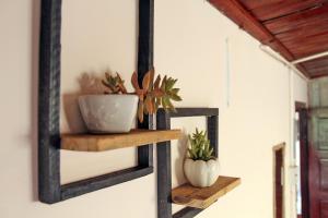 homestaynhatuiminh