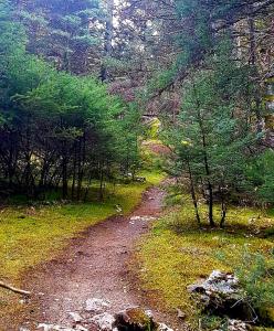 Elati Hills Arkadia Greece