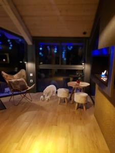 B&B / Chambres d'hotes Gite Chalet du Soulor : photos des chambres