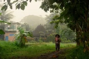 Omah minggir - Godean