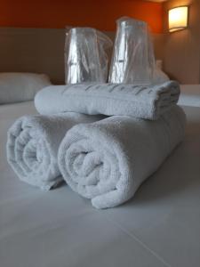 Hotels Premiere Classe Macon Sud : Chambre Lits Jumeaux - Non remboursable