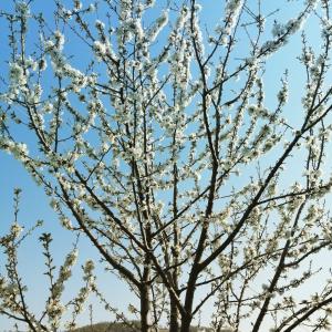 Luxury Casale Sabina Valley