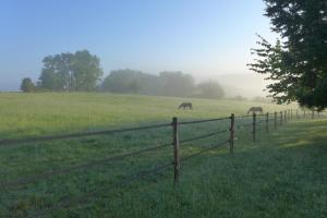 Sejours chez l'habitant Ferme Brasseyrou - B&B classique : photos des chambres