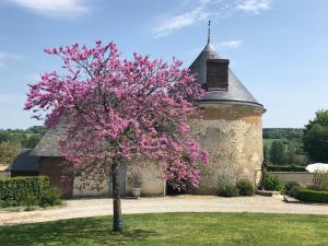 Maisons de vacances La Tourelle : photos des chambres