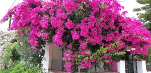Ionian Trilogy Luxury Villas Kefalloniá Greece