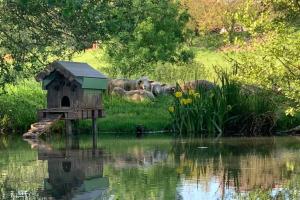 Maisons de vacances Gite Moulin de Lausseignan : photos des chambres