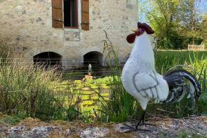 Maisons de vacances Gite Moulin de Lausseignan : photos des chambres