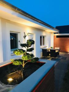 Wunderschöne Wohlfühloase im Grünen mit Innenstadtnähe