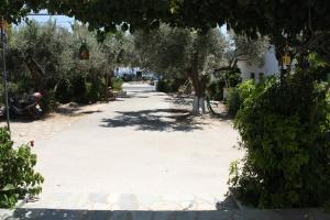 Pelagia Samos Greece