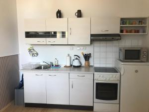 Apartmán U Borovice