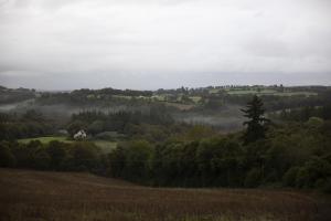 Appartements La Colline des Renards : photos des chambres