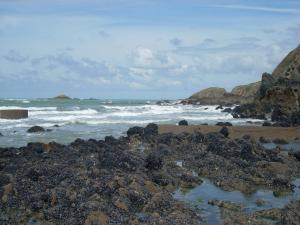B&B / Chambres d'hotes Villa Bretonne : photos des chambres