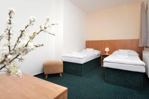 Double or Twin Room with Extra Bed room in Hotel Panska Licha