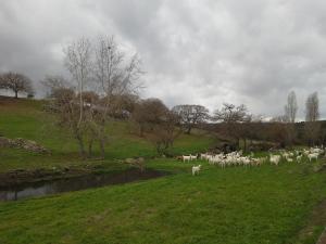 Agriturismo Pentuma img60