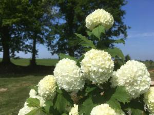 Maisons de vacances GITE 