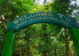 The Hangout@ EcoTravel