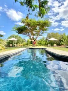 Mo & Rose at Soekershof - Robertson