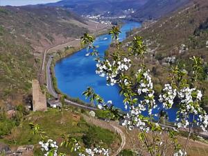 Weinhotel Hubertus Garni