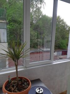 Florin Apartament
