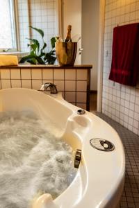 Hotell och Restaurang Hovs Hallar