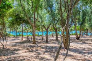 Camping Torre Castiglione